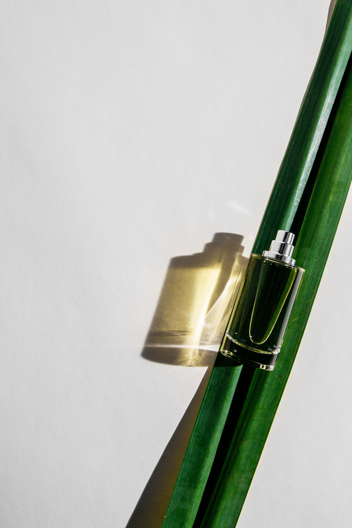 Abel Odor White Vetiver Eau de Parfum