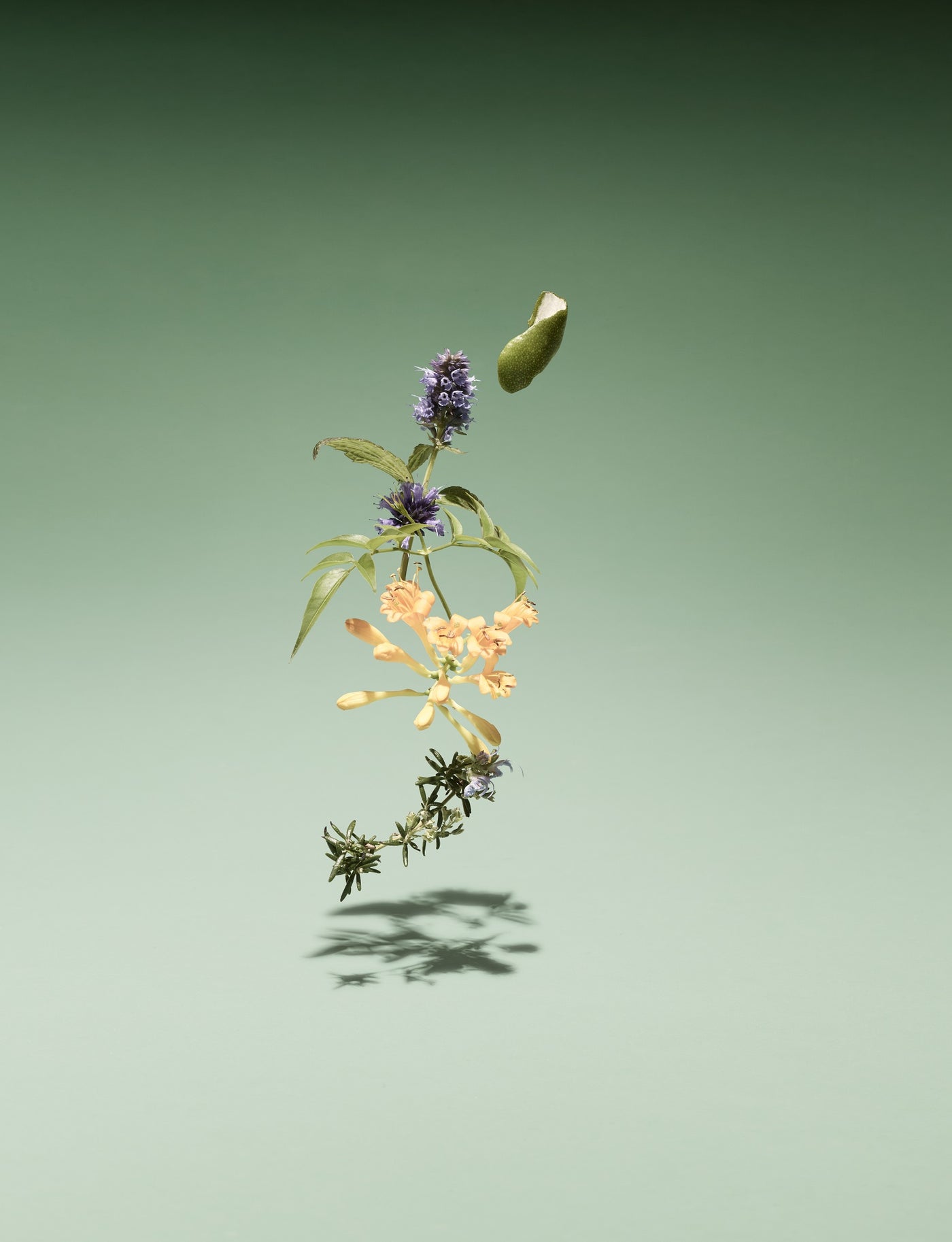 Bamford Wild Meadow Eau de Parfum