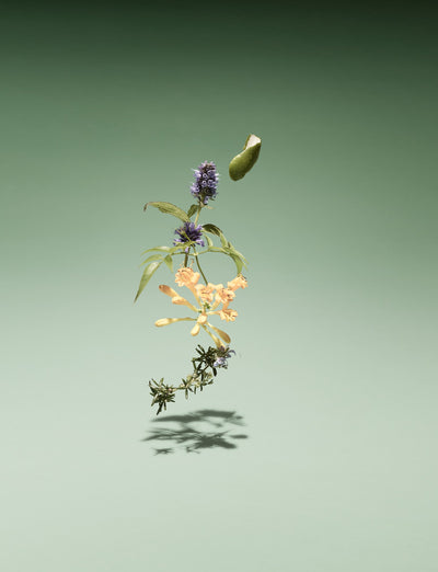 Bamford Wild Meadow Eau de Parfum
